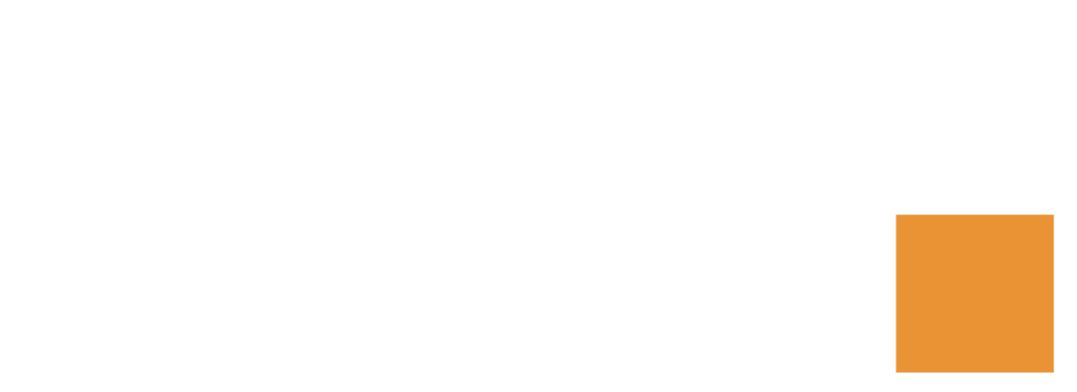 LAZZONI GROUP